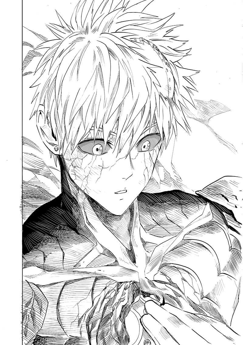 One Punch Man Chapter 155