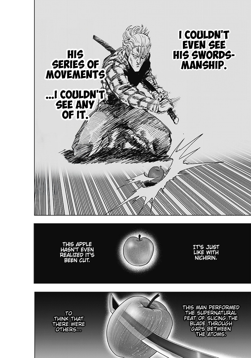 One Punch Man Chapter 189