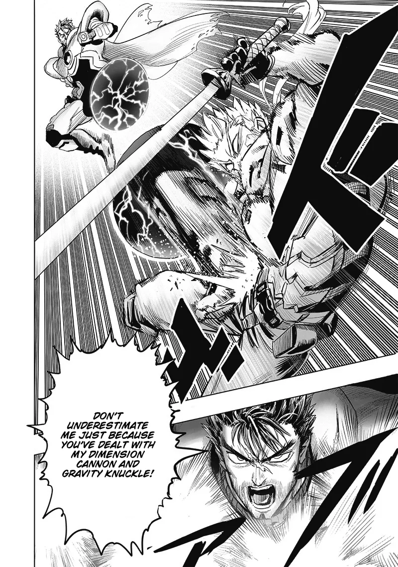 One Punch Man Chapter 208