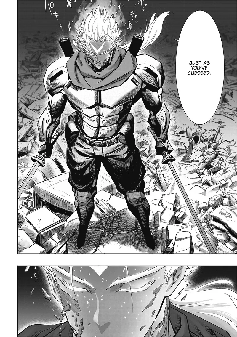 One Punch Man Chapter 208