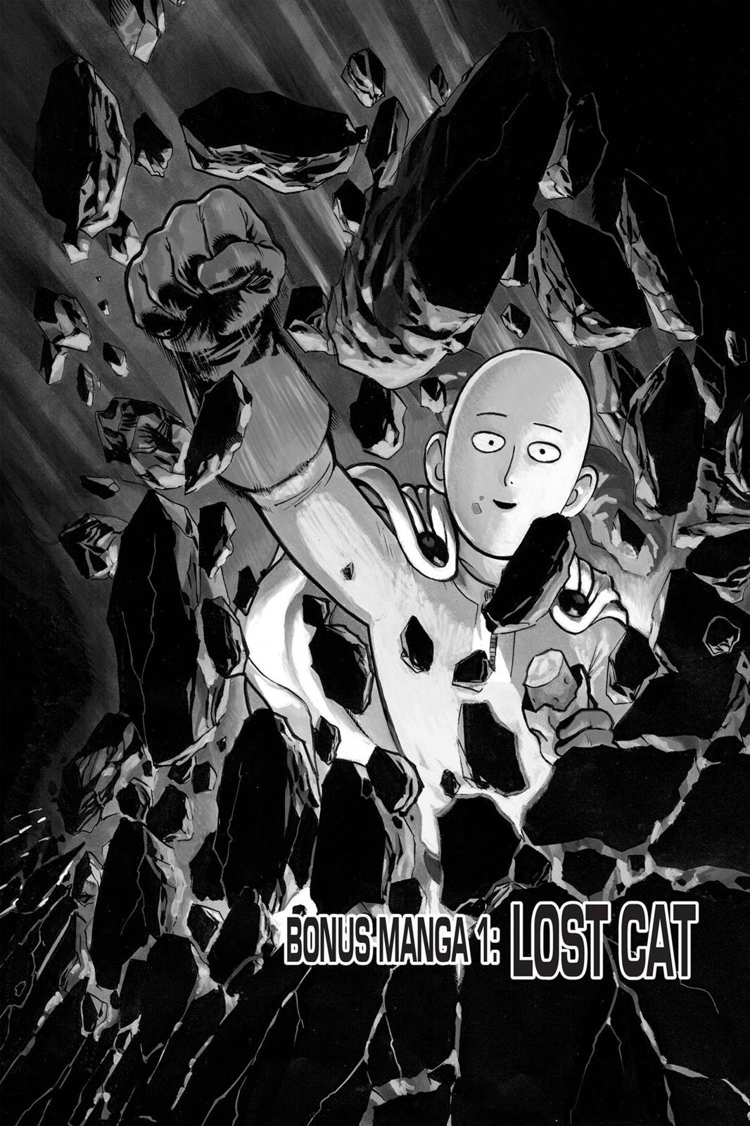 One Punch Man Chapter 40.5