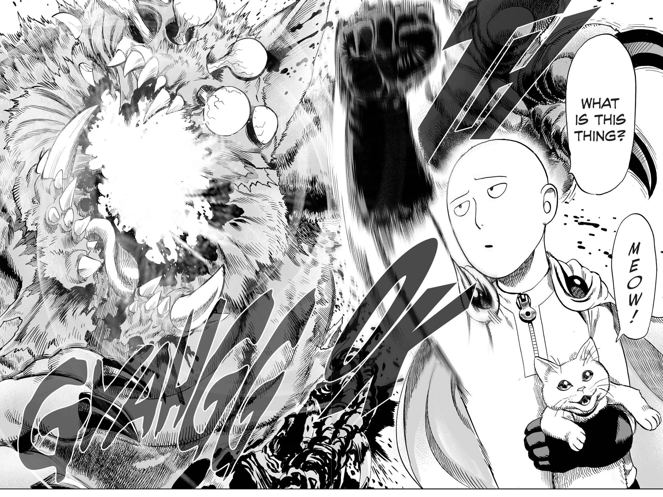 One Punch Man Chapter 40.5